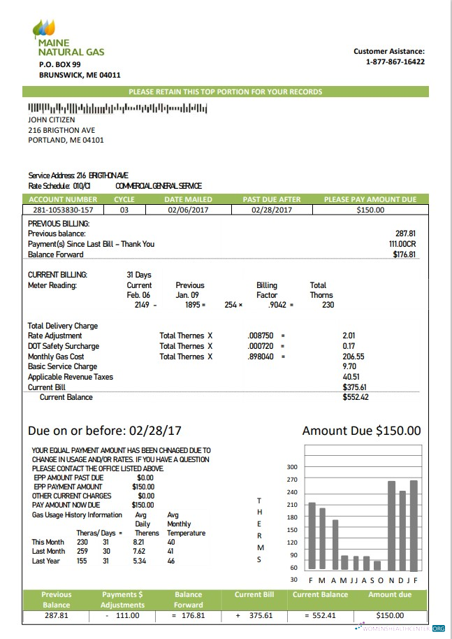 download download USA Marine Maine Natural Gas Portland utility bill template in Word format